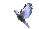 dove2.gif